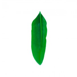 Veren 7cm Groen